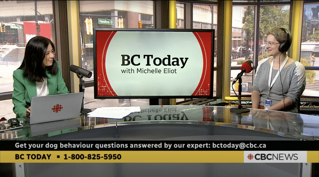 Sarah Shapiro-Ward on BC Today with Michelle Eliot - When Hounds Fly ...