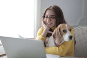 beagle sitting on guardians lap while on a laptop computer