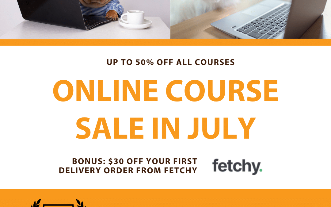 July 2024 Promotion – Exclusive Savings (50%) on Online Courses