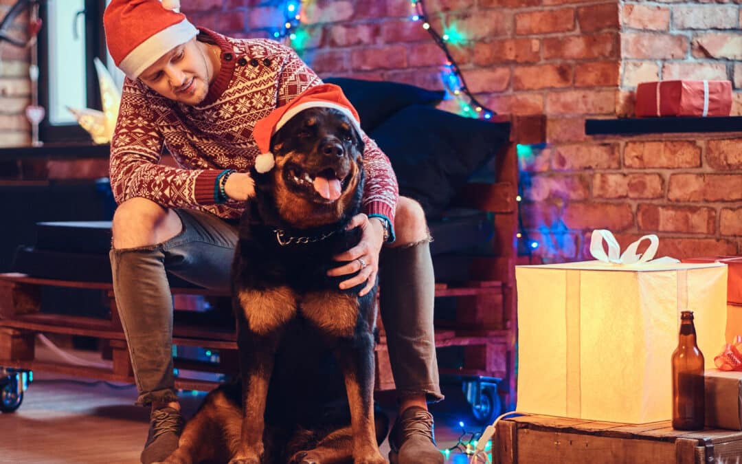 4 Tips to Help Your Dog Stay Calm and Well-Behaved Over the Holidays