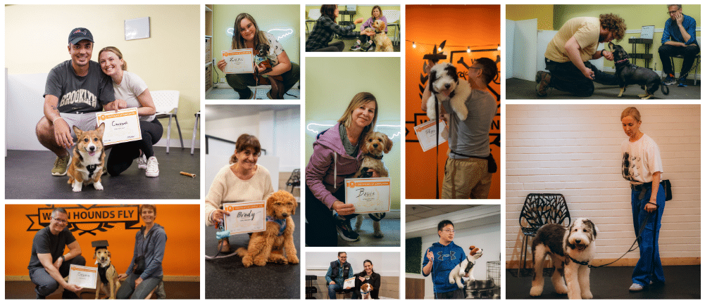 dog-training-puppy-class-students