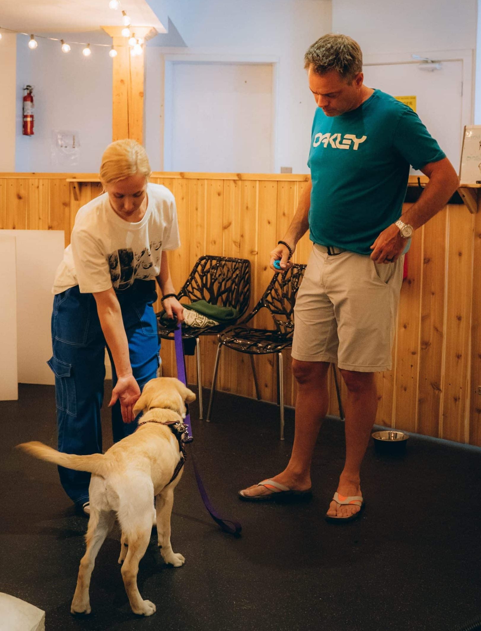 dog trainer coaching dog and client